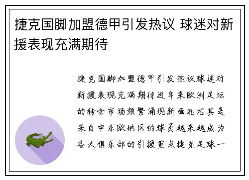 捷克国脚加盟德甲引发热议 球迷对新援表现充满期待