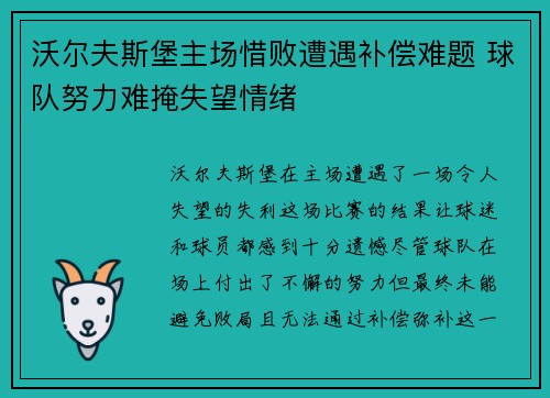 沃尔夫斯堡主场惜败遭遇补偿难题 球队努力难掩失望情绪